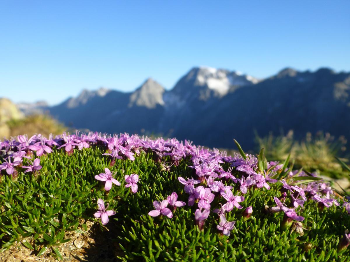Gasthof Pension Kohlplatzl Hopfgarten in Defereggen Esterno foto